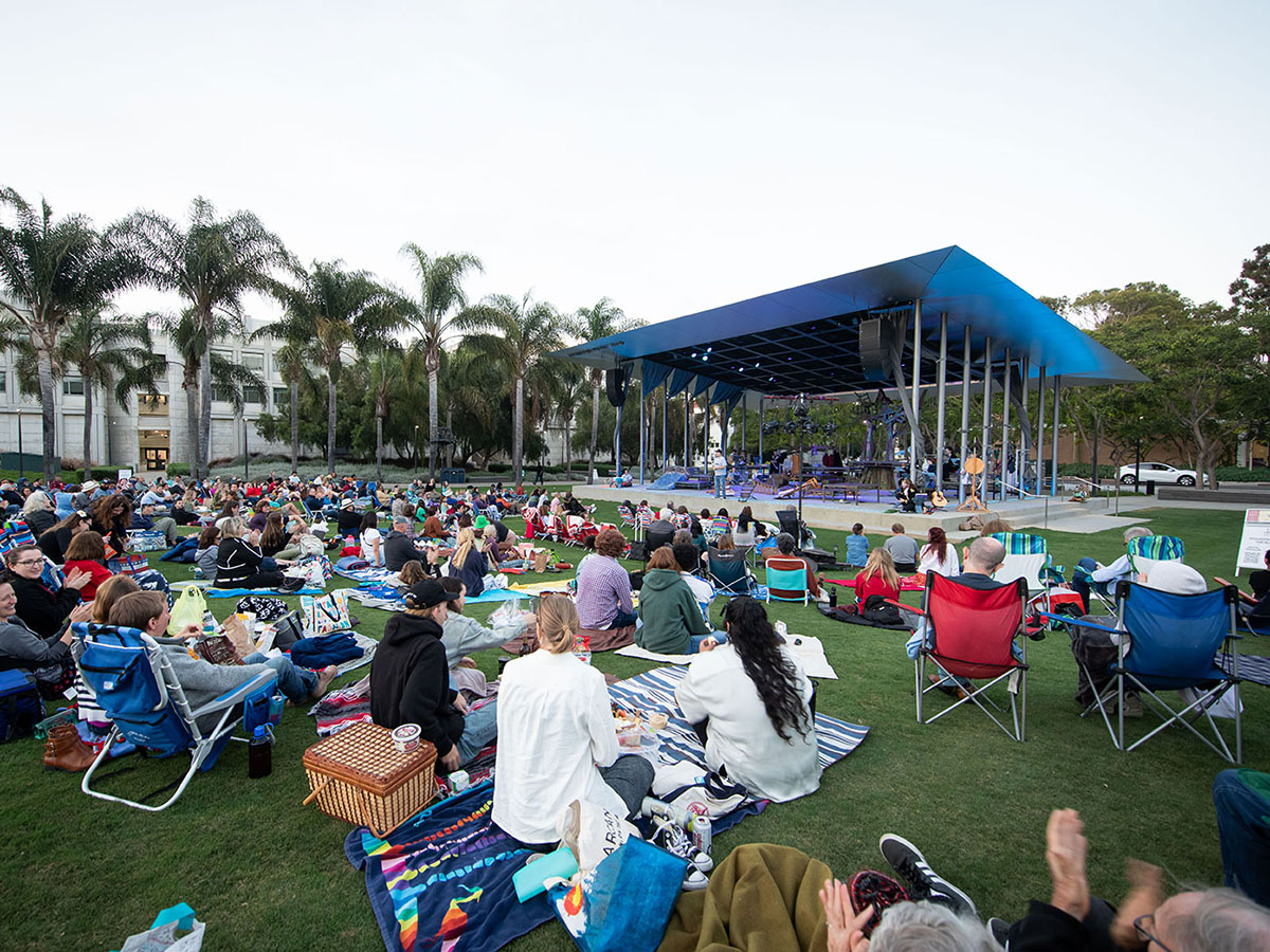 crowd of people sitting on the grass watching a performance